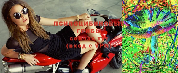 дживик Алексин