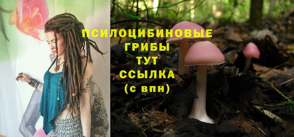 прущие крисы Алексеевка