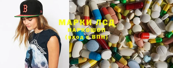 гидра Аркадак