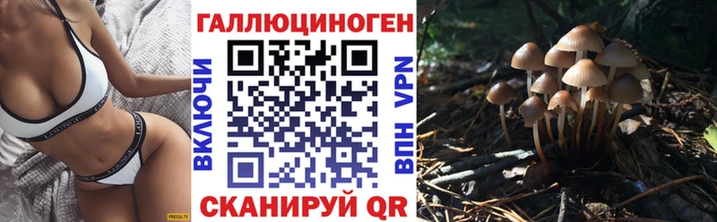 Псилоцибиновые грибы Cubensis  Александровское 